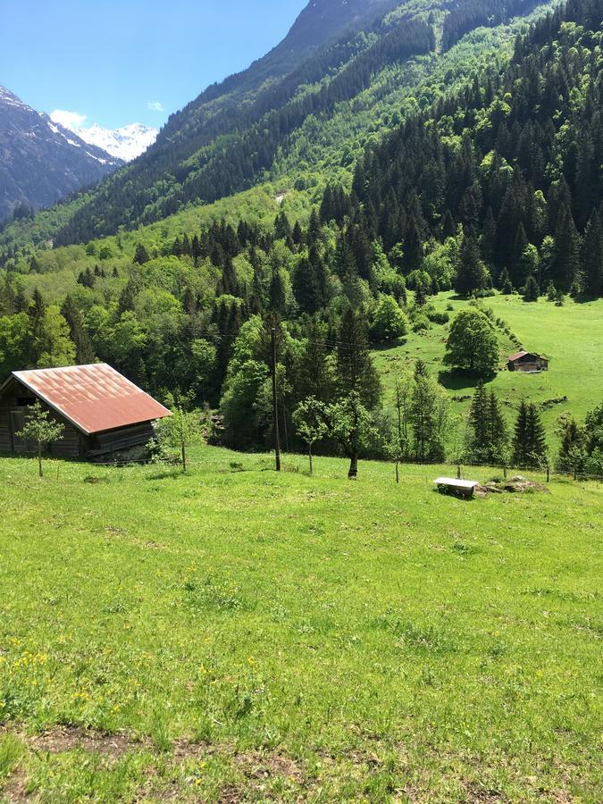 Hotel "Terrasse" Nessental Gadmen Exterior foto